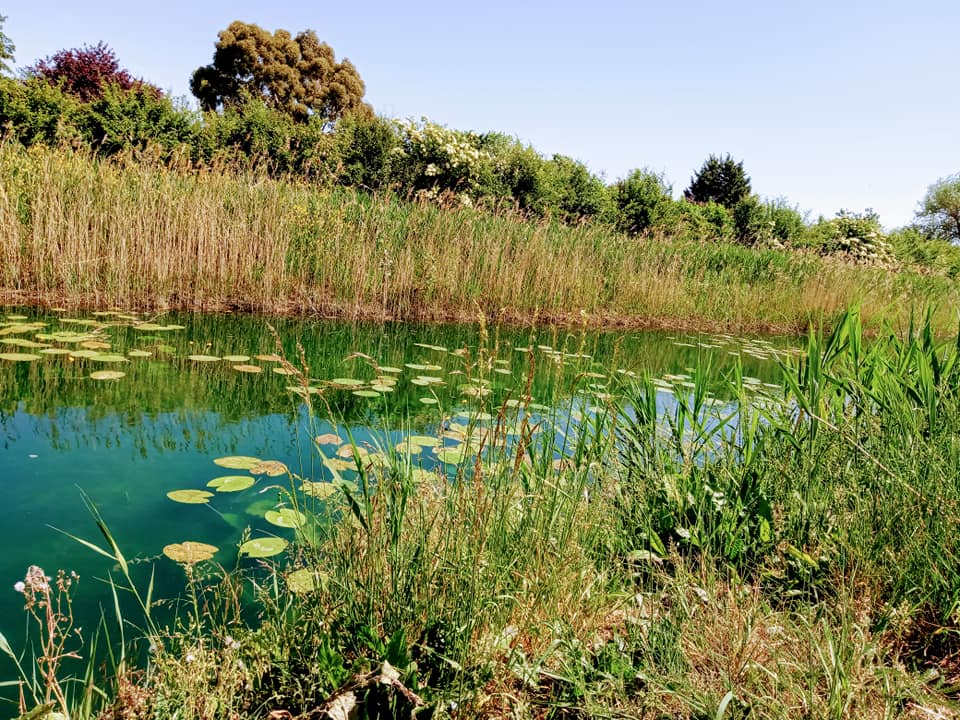 May 28th &copy; Rachel